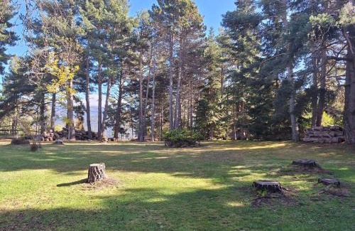 La Molina Apartment | refugio en el bosque