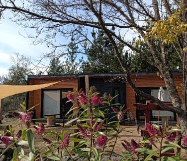 Bajos de Lircay Ski Chalet | Refugio Silvestre Parque Nacional Siete Tazas-Salida a río y pesca