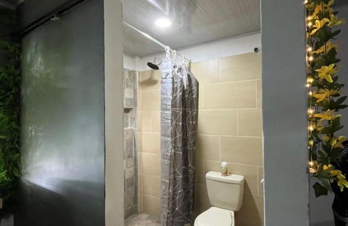 Acacias Apartment | Refugio verde interior 2