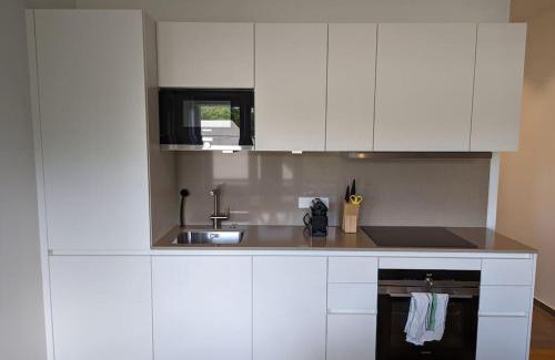 Limpertsberg Apartment | Refurbished 1BR Apartment in Limpertsberg