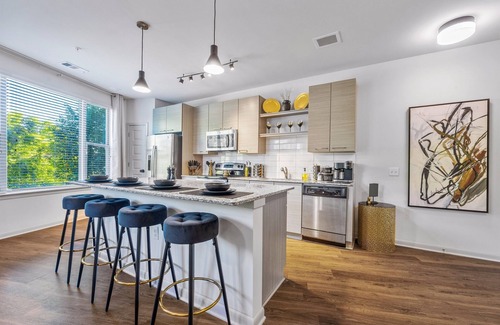 Downtown Decatur Apartment | Regal Noir 2BR/2BA | Short-Term Rental in Decatur w/Pool & Rooftop Lounge
