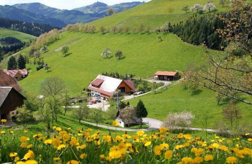 Zell am Harmersbach Apartment | Rehblick, 22 qm, 1 Wohn-/Schlafzimmer, max. 3 Personen