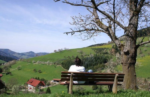 Zell am Harmersbach Apartment | Rehblick, 22 qm, 1 Wohn-/Schlafzimmer, max. 3 Personen