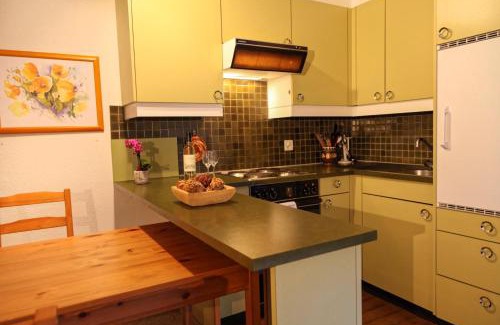 Arosa Apartment | Rehwiesa