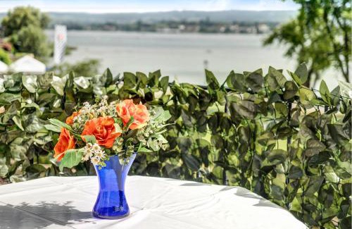 Allensbach Apartment | Reichenaublick