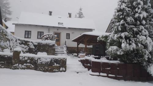 Jiretin pod Jedlovou Villa | rekreační dům Pohoda