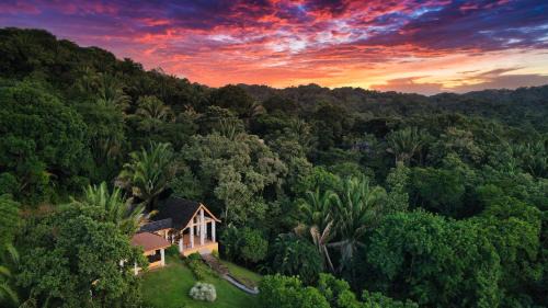 Gibson Bight House | Relax At This Hillside Retreat That Overlooks The Lush Forest And The Caribbean,