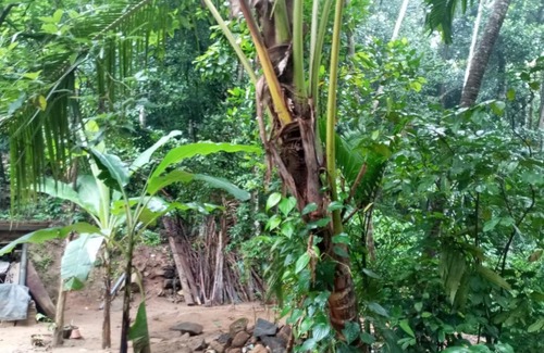 Rambukkana House | Relax Home