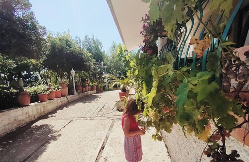 Santa Marinella House | Relaxation in the countryside, house surrounded by greenery, 4 km from the sea