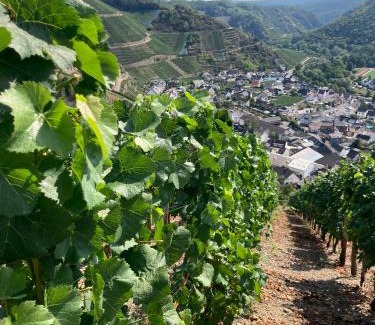 Mayschoss Apartment | Relaxen im Weindorf Mayschoß Fewo 1