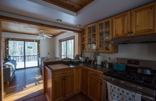 Willow House | Relaxing House in Catskills Forest Near Pretty Pond - near Woodstock/Phoenicia.