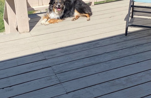 Santa Rita House | Relaxing in the Northwest