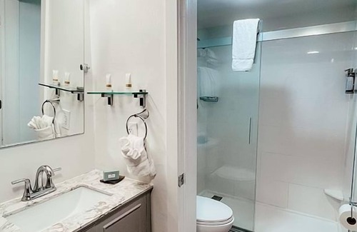 Key Largo Hotel | Relaxing King Stay w/Sunset Views! Pet Friendly, Free Parking!