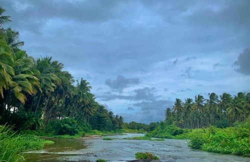 Anaimalai Other | Relaxing Retreat at Mullai Farm Stay near Pollachi