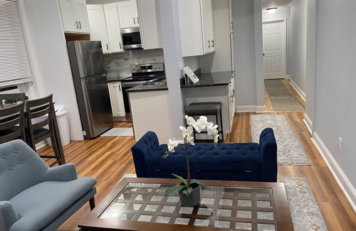 Packard's Corner Apartment | Remodeled Spacious Apartment in Perfect Location