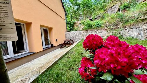 Stare Splavy Apartment | Remote Work Friendly Zahradní apartmán u jezera