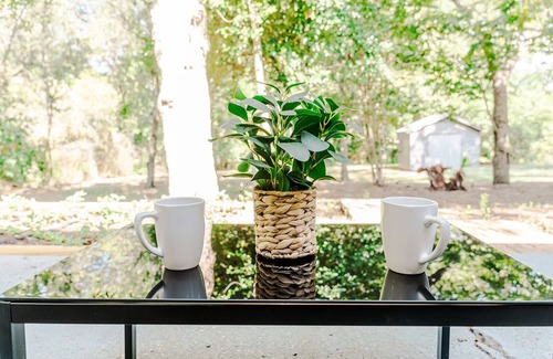 Bellville House | Renovated 1940's era cottage - 2 Blocks from downtown Bellville!