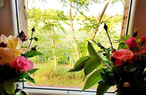 Saint-Eloy-de-Gy House | Renovated country house, 8 km from Bourges, all comforts