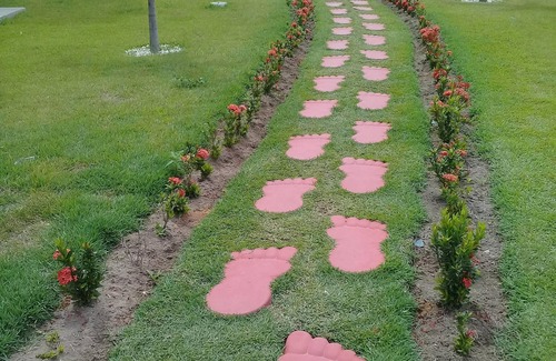 Benedito Bentes Apartment | Rent 2 Rooms near Ufal and Shopping!