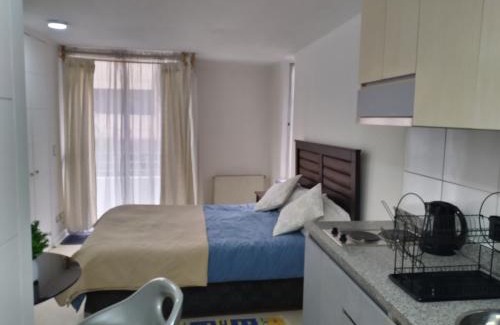 Providencia Apartment | RentApartNuevadeLyon