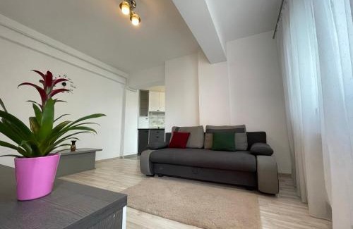 Iasi Apartment | Renting Solutions Tudor