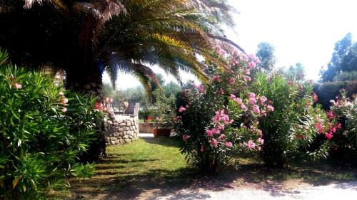 Bonalaccia-Filetto Apartment | Residence Dolores Castle