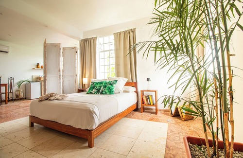 Municipality of Cerro Bed & Breakfast | Residencia Albero Dulce