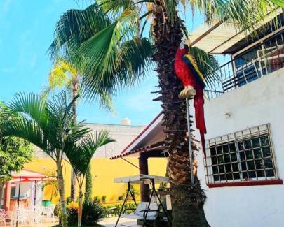 Cuautla House | Residencia Mirenick
