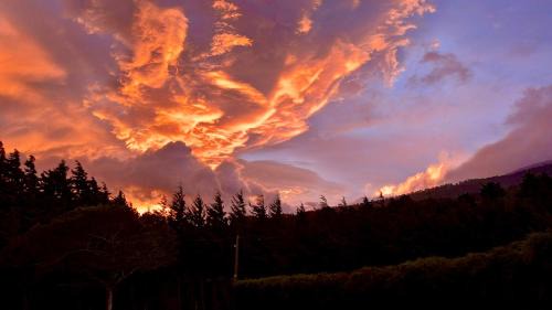 Poas Volcano National Park Apartment | Residencial de montaña Los Quetzales