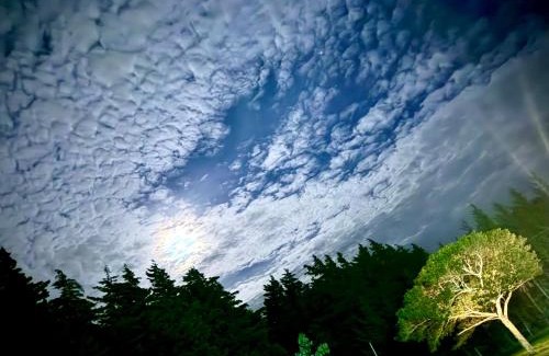 Poas Volcano National Park Apartment | Residencial de montaña Los Quetzales