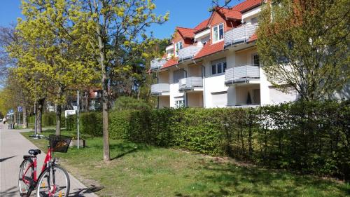 Bad Saarow Apartment | Residenz Zum Kronprinzen