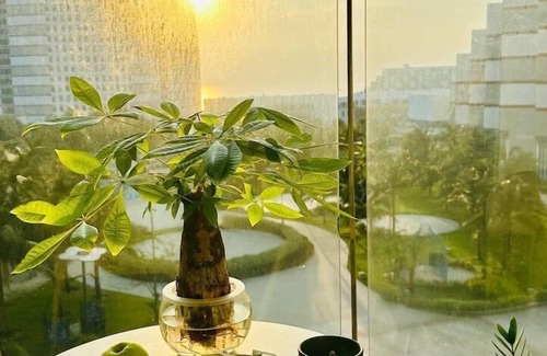 Khanh Hoa Apartment | resort Bãi dài The Arena Sea view
