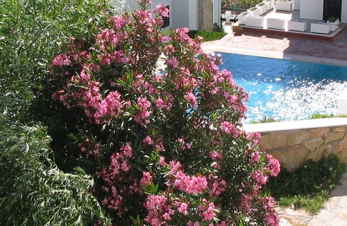 Ildır Koyu Villa | Resort Villa In Historic Sea Side Village Of Ildiri (historical Name Erythrai)