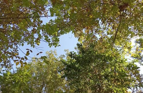 Uzbekistan Apartment | Resorts