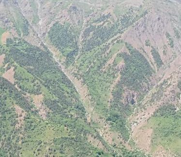 Uzbekistan Apartment | Resorts