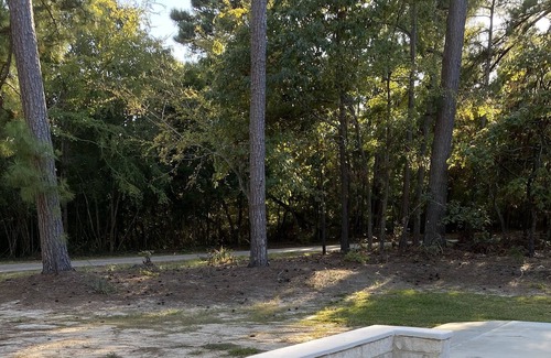 Athens House | RESPITE. Hotel-Style Room on Beautiful Private Campground. Stone 1