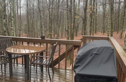 Davis Cabin | Rest Assured in Black Bear Resort-Hike, Ski, Swim, Bike, Pickleball, and Relax!