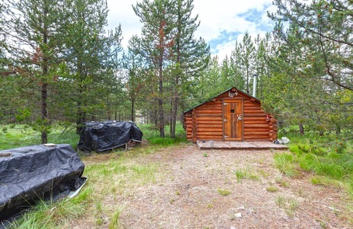 Marion Cabin | Retreat to our cozy cabin nestled in a private hideaway.nSolar lights & shower
