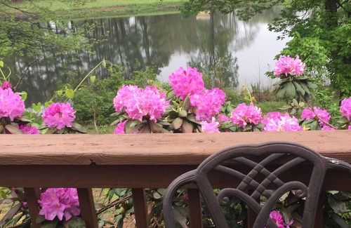Culpeper House | Retreat Venue to Host up to 36