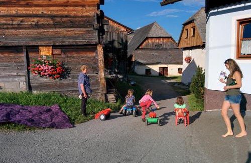 Sankt Peter am Kammersberg House | Rettlhof