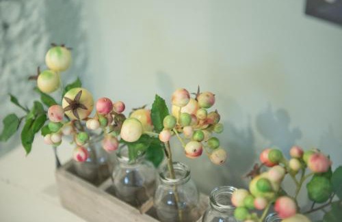Willowby Bed & Breakfast | Revive On Oakview Boutique Beauty and Accommodation