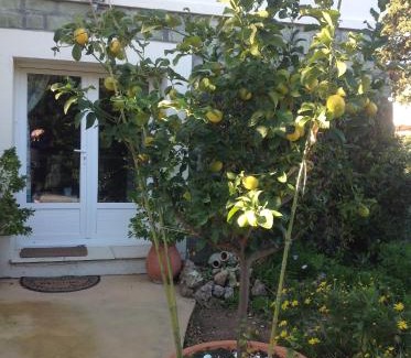 Saint-Aygulf Apartment | Rez de Villa Pébrier