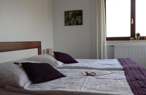 Mainz-Bingen Hotel | Rheinblick Hattenheim Boutique Art Gästehaus