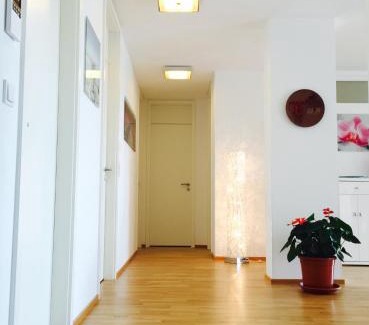 Petershausen-West Apartment | Rheinblick Riverview Luxury