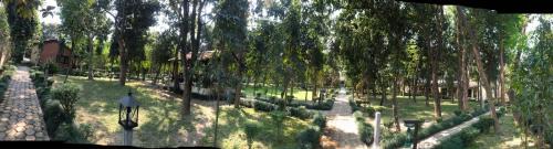 Bardia Bed & Breakfast | Rhino Lodge Bardia Pvt Ltd