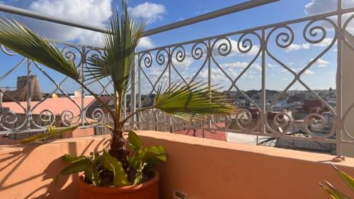 Sale Medina Bed & Breakfast | Riad Guesthouse 16