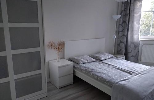 Poznan City Center Apartment | RiC Apart - Apartament Mostowa, centrum Poznań - parking - klimatyzacja