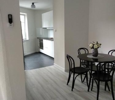Poznan City Center Apartment | RiC Apart - Apartament Mostowa, centrum Poznań - parking - klimatyzacja