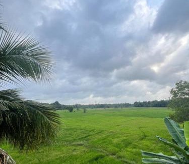 Minuwangoda Apartment | Rice field Retreat