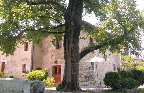 Strassoldo House | Rice Pile N° 79270 Comfortable Vacation Home